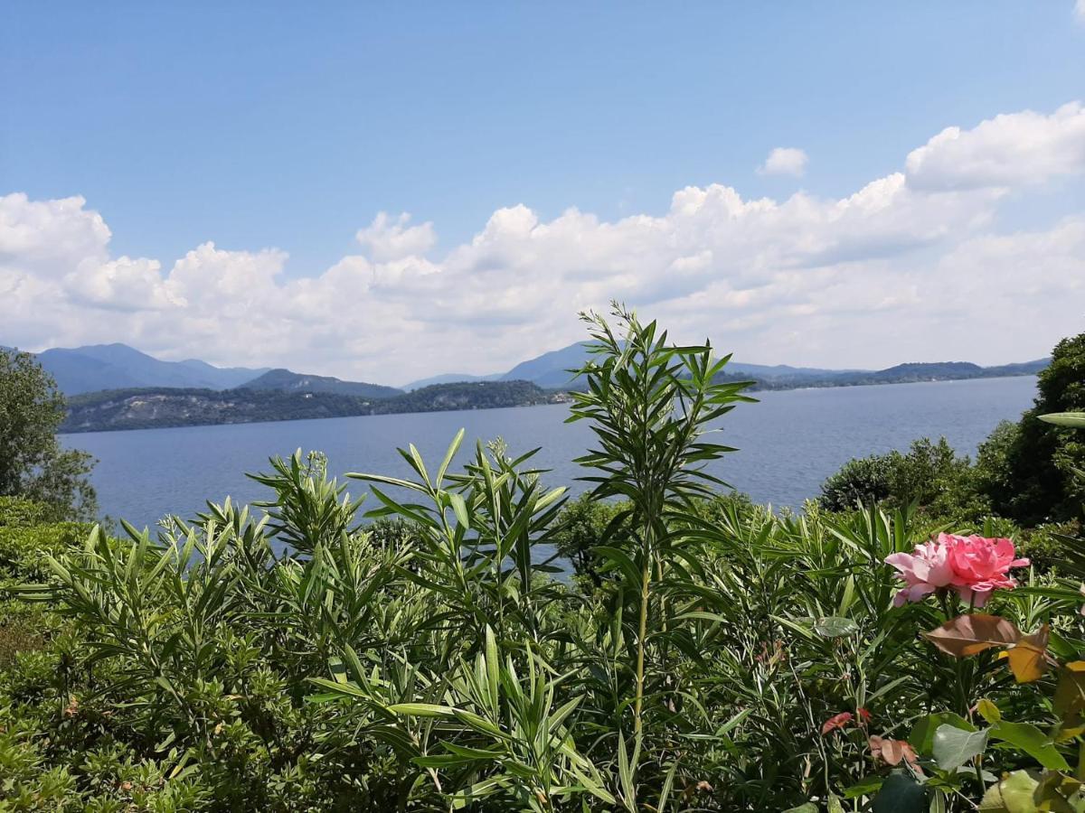 Bmp Apartment Gioiosa 2 Giardino Vista Lago Maggiore Belgirate Exteriör bild
